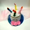 Qianfang Festival wigs, hats for export, 5 candles, birthday cakes, festival hats 3434 Application Scenario